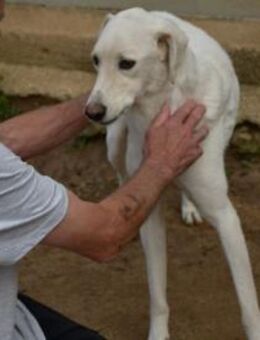 Mara sucht ihre Traumfamilie - Neuss