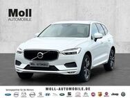 Volvo XC60 Momentum Pro AWD B4 Diesel EU6d Allrad StandHZG Navi digitales Cockpit Soundsystem - Aachen