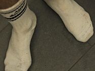 Socken von jungen Handwerker - Berlin Charlottenburg-Wilmersdorf