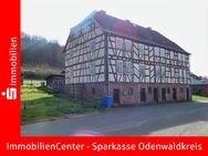 Sonderabschreibung Denkmalschutz! Sanierungsbedürtiges Kulturdenkmal in Michelstadt - Michelstadt