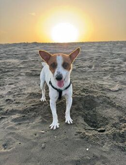 Nicky ist ein Sonnenschein - Berlin