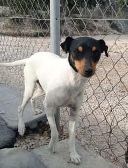 Jerry liebt die Menschen Mr - Ludwigshafen (Rhein)