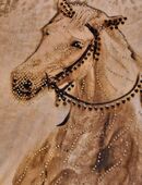 Shirt XXL. Motiv Pfetd mit kleinen Steinen. Neu in 42349