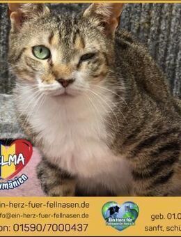 Selma sucht einfühlsame Menschen! - Waakirchen