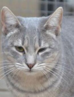 Tania braucht Geduld und Geborgenheit, - Poing