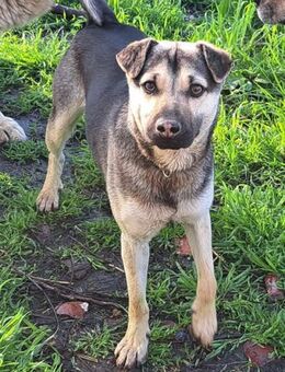 Ralf sucht seine Familie - Weilheim (Oberbayern)