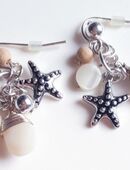 Wunderschöne Ohrhänger Seestern in 80469