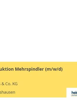 Leiter Produktion Mehrspindler (m/w/d) - Dommershausen