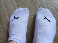 Getragene Socken von M28 - Herford (Hansestadt)