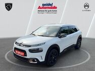 Citroën C4 Cactus, 110 S&S Orgins Automatik, Jahr 2019 - Wunstorf