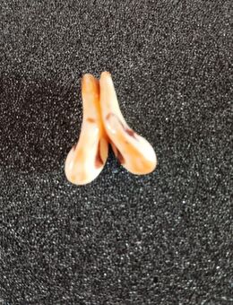 Grandeln für Jagdschmuck - Kolkwitz