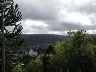 Traumhafte Wohnung in traumhafter Süd-Lage mit traumhafter Aussicht !!! - Siegen (Universitätsstadt)