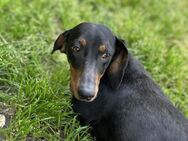 MAGGIE -wer teilt die Lebenslust mit mir - Overath