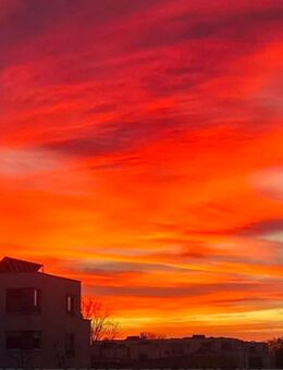 Teddybär zum kuscheln gesucht... - Düsseldorf