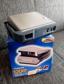 Polaroid Camera - Bielefeld