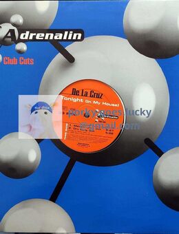 De La Cruz ‎– Tonight (In My House) 1997 12" Vinyl Trance - München Bogenhausen