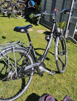 26er Damenfahrrad 8Gang Pegasus schwarz - Zwenkau Zentrum
