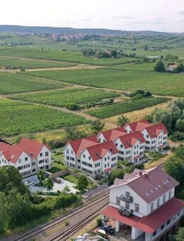 HOCHWERTIGE 3-ZIMMER-WOHNUNG MIT WEITBLICK - Freinsheim