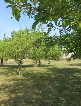 Ruhig gelegener Vierseitenhof - für Selbstversorger geeignet mit viel Potenzial - Felixsee