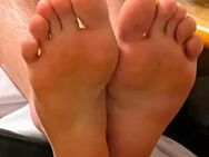 Suche Nutzer Teef09 (Feet Master) - Hamm