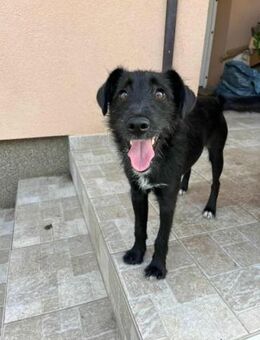 Terka wünscht sich tolle Abenteuer - Nordwalde