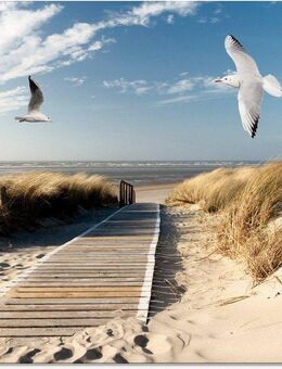 Artland Glasbild Nordseestrand auf Langeoog mit Möwen, Strand (1 St), in verschiedenen Größen