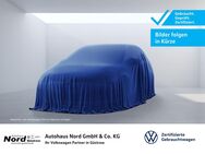 VW T6, 2.0 TDI Kasten, Jahr 2019 - Güstrow