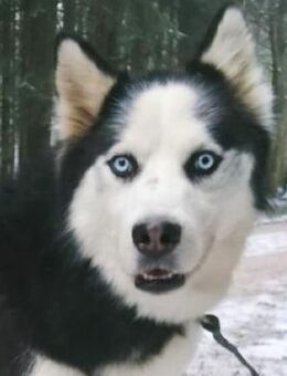 FELIX 2 ist liebenswert und freundlich - Hof