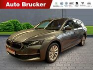 Skoda Octavia, 2.0 TDI Combi 110kW Selection, Jahr 2025 - Marktredwitz