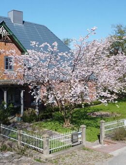 Viel Platz in ländlicher Idylle - Drage (Landkreis Nordfriesland)