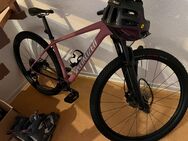 Specialized Epic Bike in superschönem dezenten Rosa - Rimbach (Hessen)