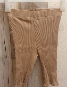 Hellbraune/beige kurze Leggings von vera&lucy Größe xs(34) - Darmstadt