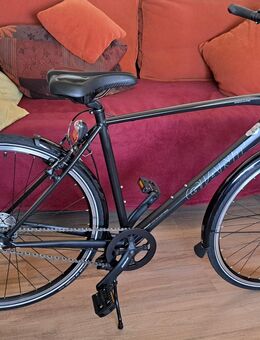 GIANT Trekking Bike "ESCAPE " - Minden Dankersen