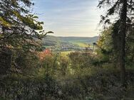 Zurück zur Natur -Ferienhaus mitten im Wald - Jena