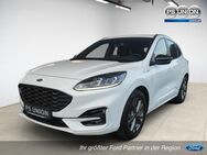 Ford Kuga, 2.0 ST-LINE, Jahr 2020 - Nordhausen