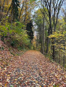 Ich biete mobile Massage an ! - Triptis