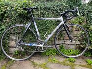 COLNAGO C40 HP B-Stay Carbon Rennrad, RH 55, 2x9 Shimano Dura Ace - Essen