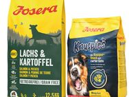 Josera Kombi-Paket: 12,5 kg Adult Trockenfutter + 3 x 900 g Knuspersnacks - Lachs & Kartoffel (getreidefrei) 12,5 kg + Knuspies 3 x 900 g