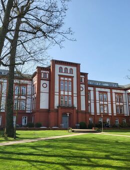 Großzügige 1-Zimmer-Wohnung mit Galerie als Schlafbereich++unterm Dach - Schwerin