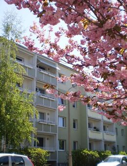 Wenn man Ruhe braucht, ist man hier genau richtig - Gera