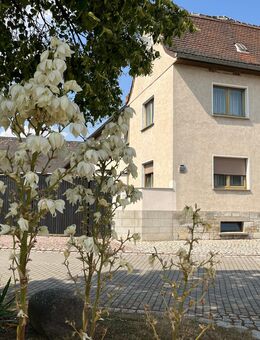 Bauernhof / Hof / Gehöft in Hohenmölsen - Hohenmölsen