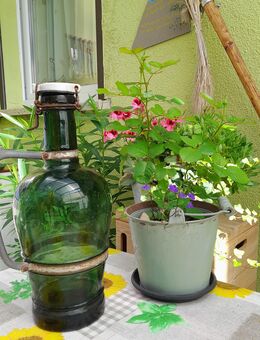 SIPHON FLASCHE - Zehdenick Zentrum