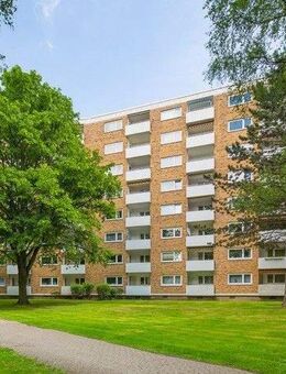 Nur noch Möbel rein und glücklich sein! - Braunschweig