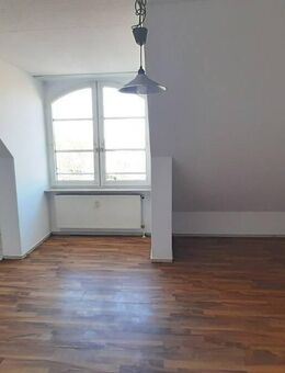 Studentenwohnung direkt an der Hochschule - sofort frei! - Worms