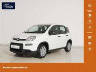 Fiat Panda, 1.0 GSE Hybrid, Jahr 2024 - Pilsach