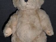 Niedlicher Teddybär aus den 1960er Jahren, Vintage! - Hürth