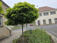 Wohn- und Geschäftshaus in 96126 Ermershausen / Haßfurt (ID 10536) - Maroldsweisach