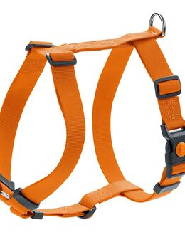 HUNTER Geschirr London Vario Rapid, orange - Größe XXS-XS: 32-52 cm Bauchumfang