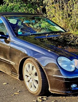 Clk w209 Cabrio , 200 Kompressor 155300km - Bergisch Gladbach