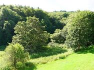 Großzügige 91m² barrierefreie 3-Zi-Wohnung in sehr guter Lage mit traumhaftem Blick ins Grüne - Eppstein